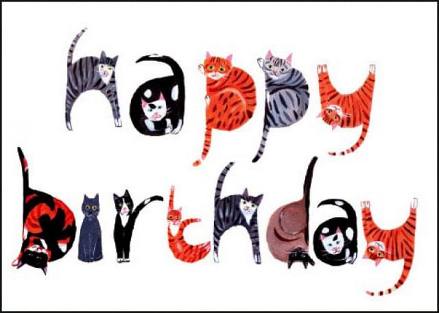 Happy birthday in cats