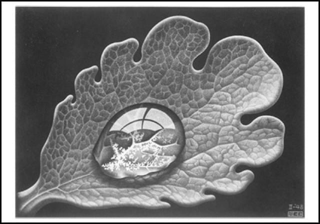 Drop (Dewdrop), M.C. Escher